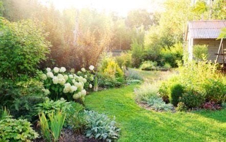 Tuinhulp aangeboden, Tuin en Terras, Ophalen, Zo goed als nieuw