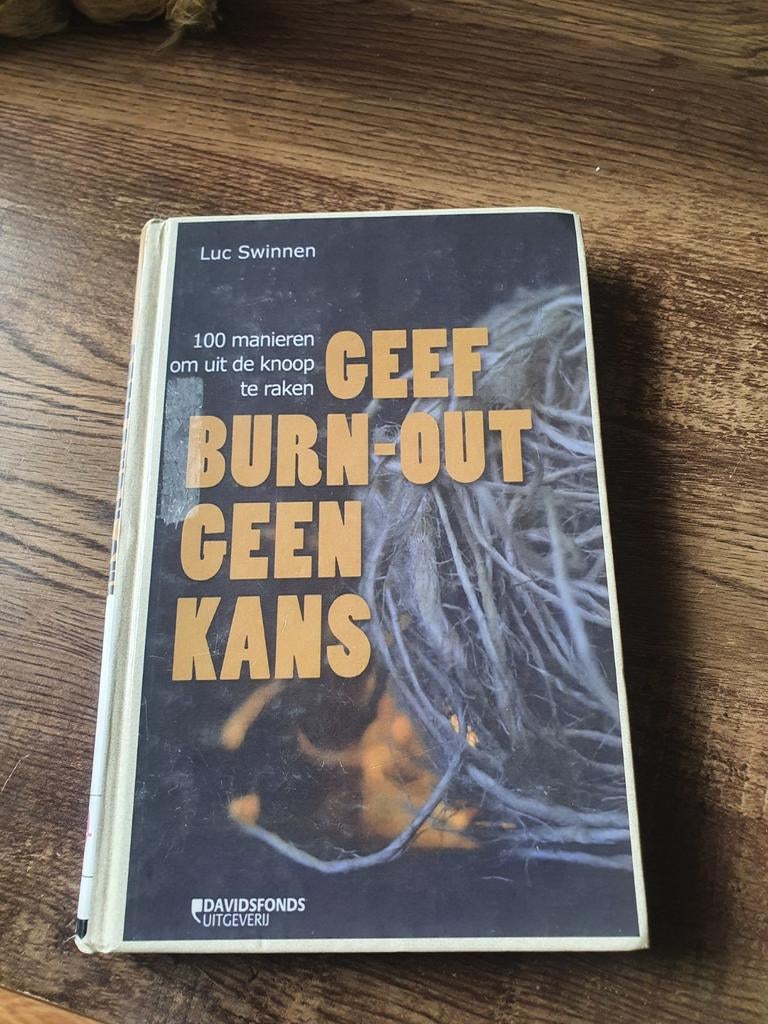 Geef Burn-Out Geen Kans - Luc Swinnen, Ophalen of Verzenden, Gelezen, Luc Swinnen