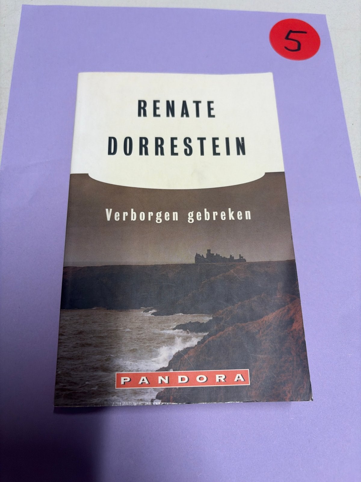 Renate Dorrestein - Verborgen gebreken (Pandora), Boeken, Ophalen of Verzenden, Zo goed als nieuw, Nederland