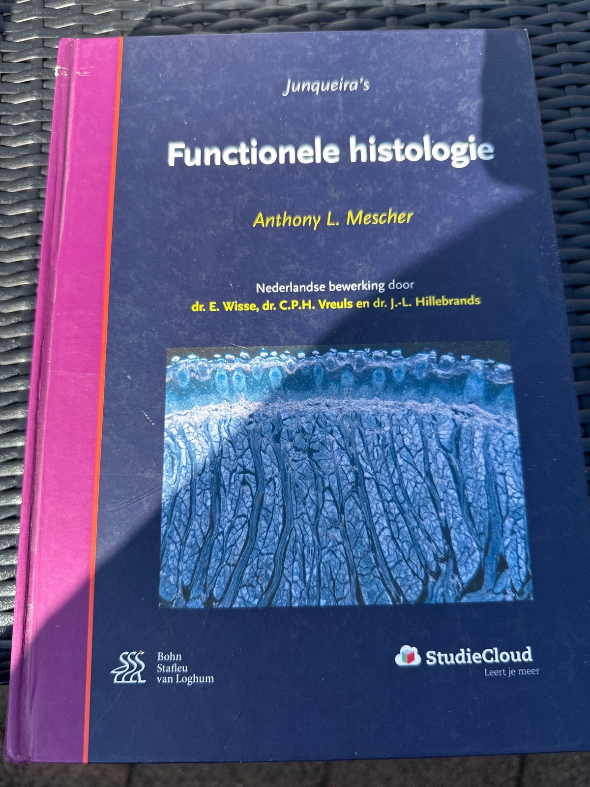 Junqueira's Functionele Histologie - Zo goed als nieuw, Boeken, Ophalen of Verzenden, Beta, Zo goed als nieuw, WO