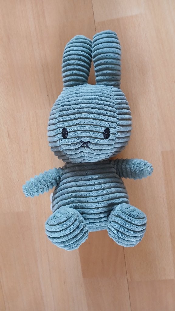 NIJNTJE KNUFFELS & NIJNTJES SPULLETJES, Ophalen of Verzenden, Zo goed als nieuw, Konijn
