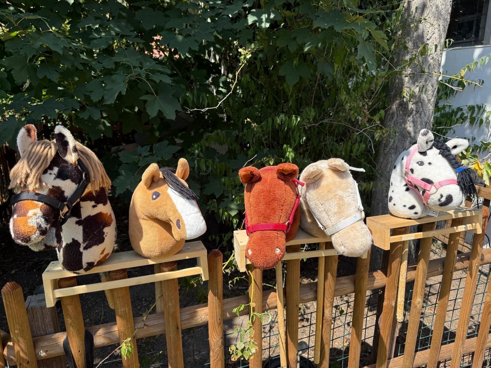 5 Hobby Horses met accessoires (Pipoos), Ophalen, Gebruikt