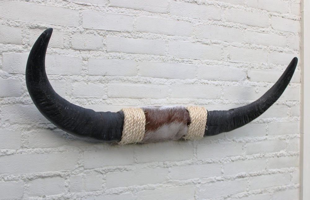 Texas style BULLBAR- 82 cm - waterbuffel hoorns (ref. D), Verzamelen, Dierenverzamelingen, Ophalen of Verzenden, Nieuw, Boerderijdier