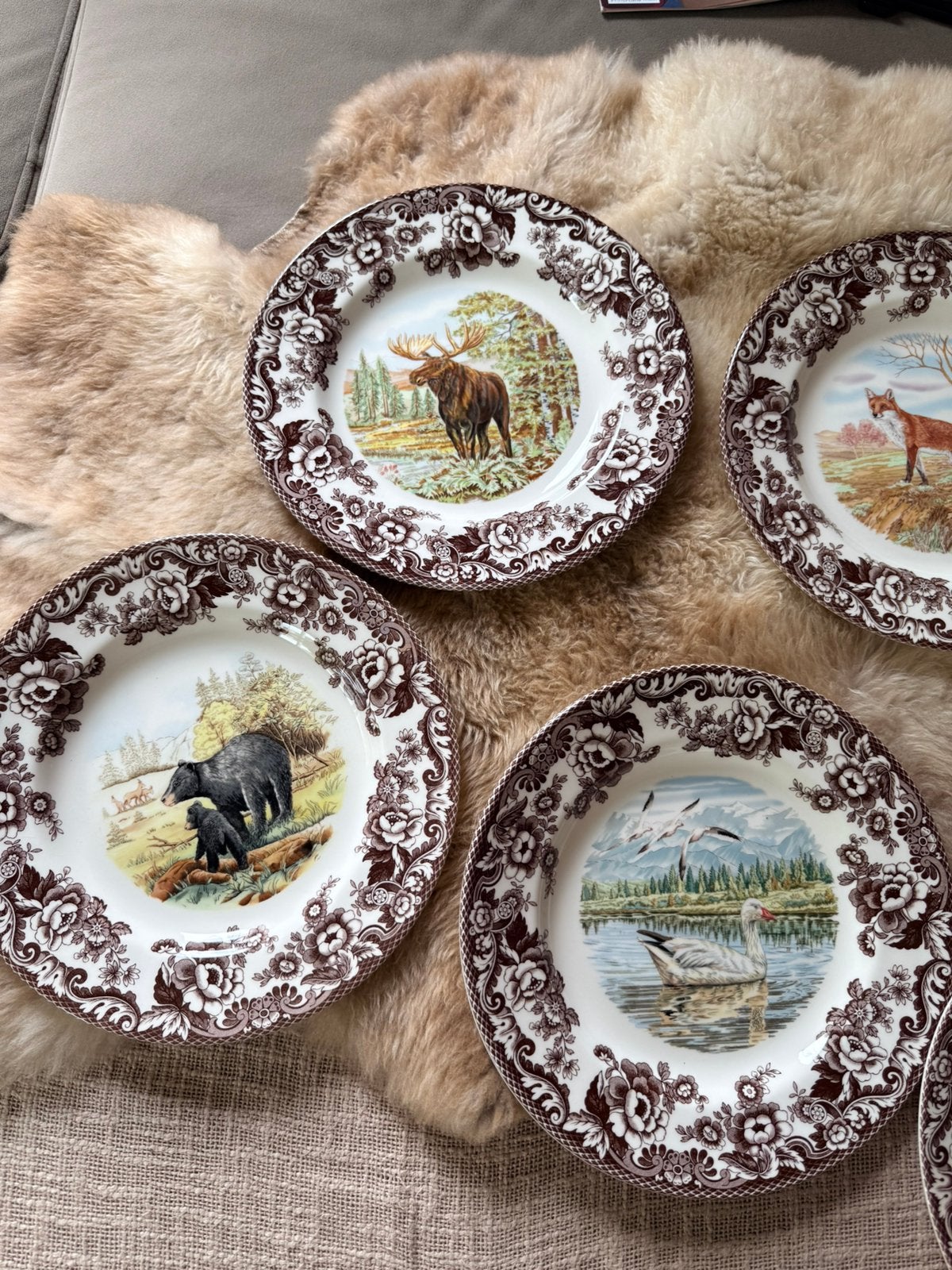 Spode Woodland 7xxdinerborden 27 cm 7xxnieuw, Ophalen, Nieuw, Porselein, Bord of Schaal