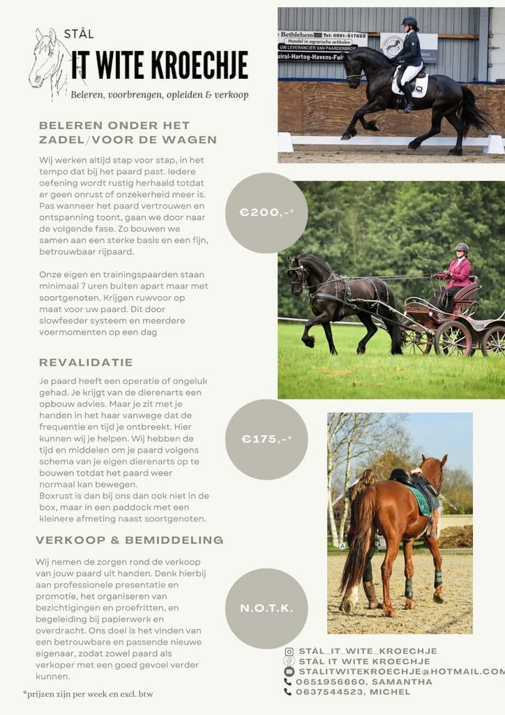 Trainingsstal Beleren van paarden ohz en voor de wagen, Gedragstraining
