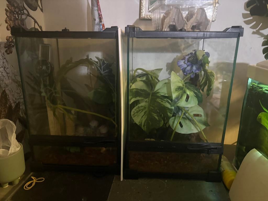 Meerdere terrariums, Ophalen of Verzenden, Zo goed als nieuw
