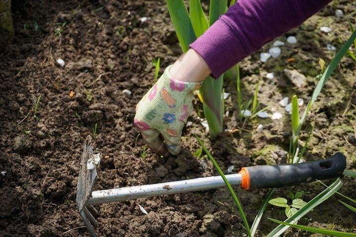 Onkruid verwijderen / tuinonderhoud?, Tuinonderhoud of Snoeiwerk