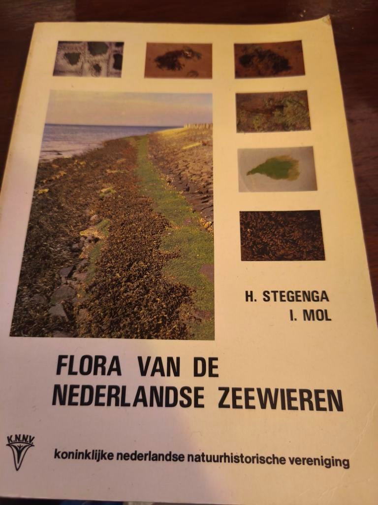 Flora van de Nederlandse Zeewieren - Stegenga & Mol, Ophalen of Verzenden, Zo goed als nieuw, Bloemen, Planten en Bomen, H. Stegenga, I. Mol