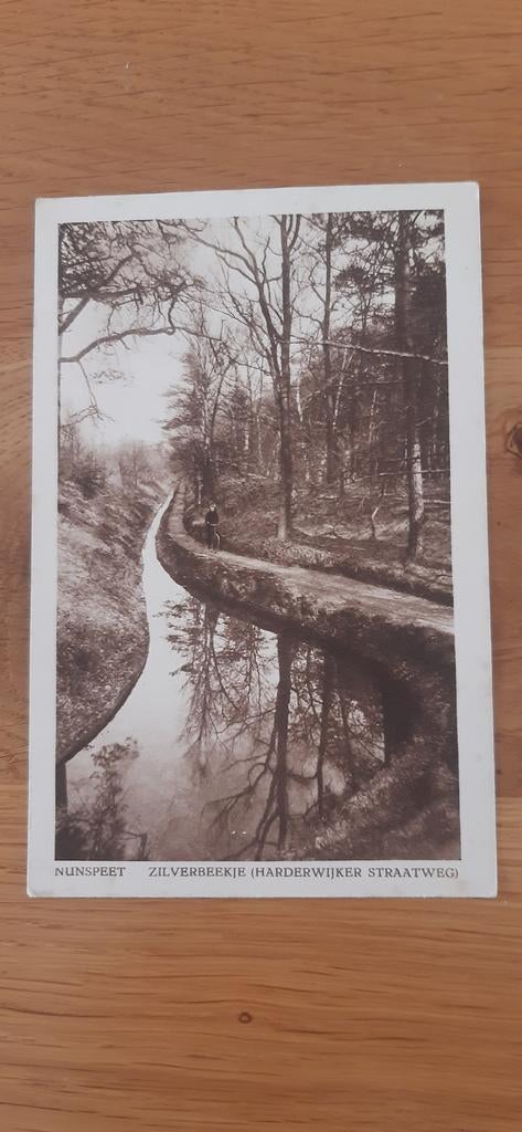 Nunspeet zilverbeekje, Ophalen of Verzenden, Gelopen, Gelderland
