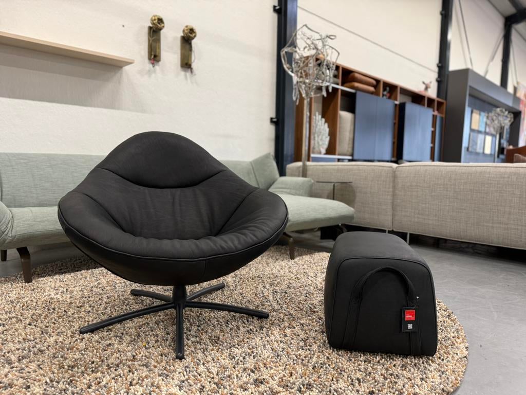 Nieuw Label Vandenberg Hidde Soft fauteuil Bald sprang Zwart, Nieuw, 75 tot 100 cm, Label van den Berg, 50 tot 75 cm