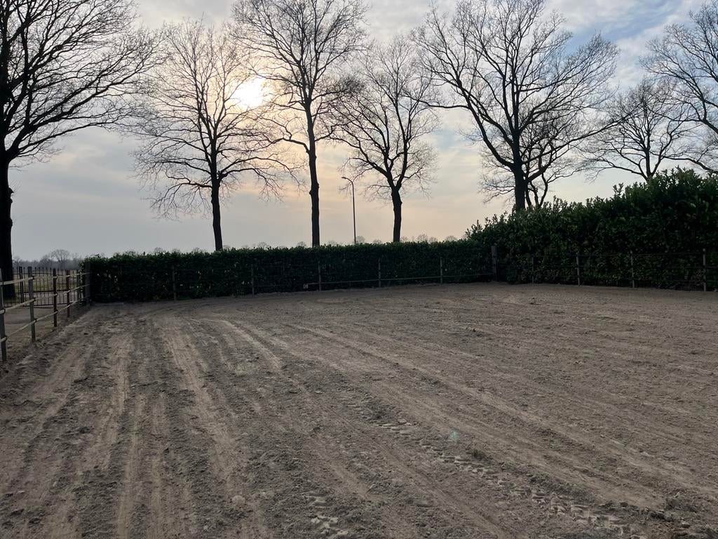 Ondehoud paardenbak, frezen moestuin., Tuinonderhoud of Snoeiwerk