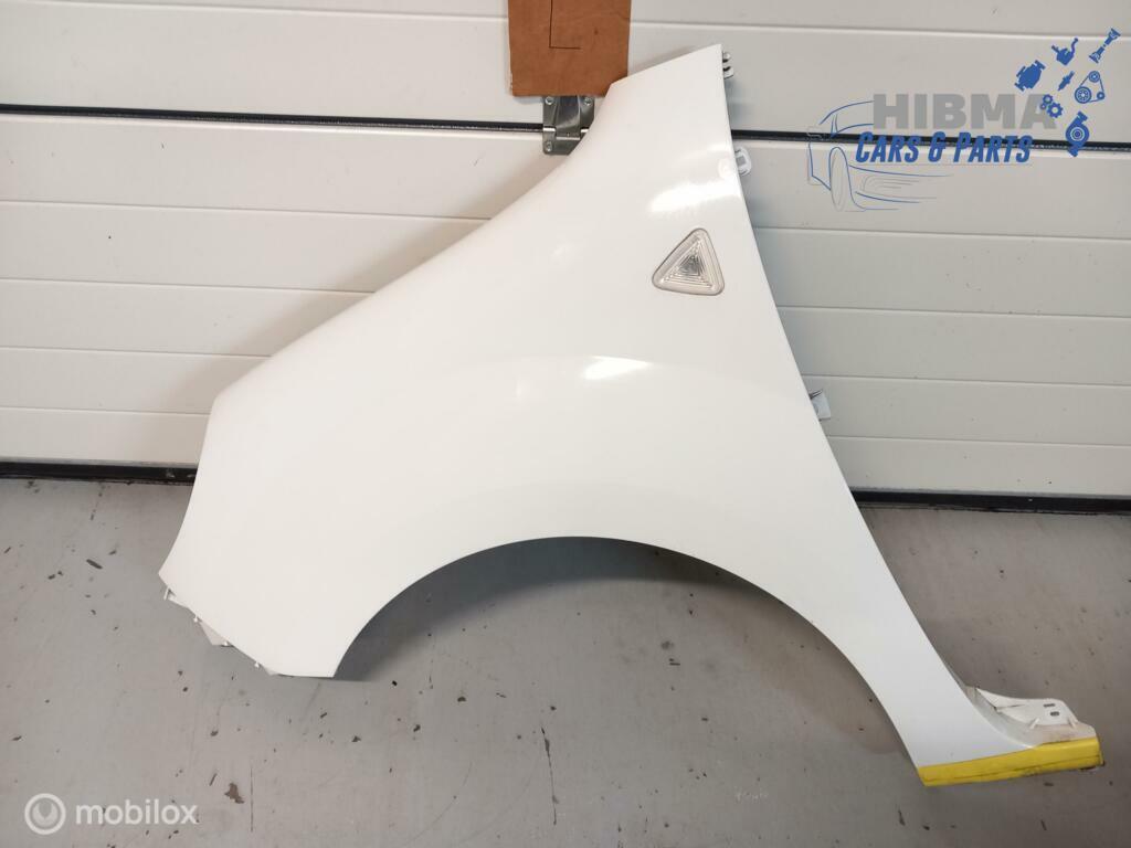 Renault Kangoo Express II Zijscherm Links 631011587R 09-16, Ophalen of Verzenden, Gebruikt