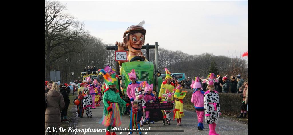 Carnavalswagen Trekker met Boer en Dieren pakken, Ophalen, Gebruikt, Versiering, Carnaval