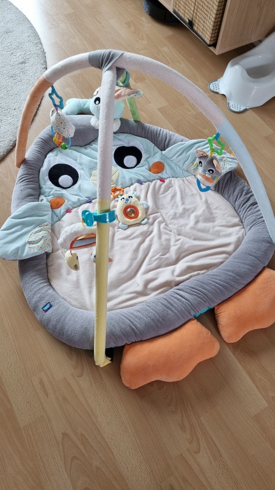 Babygym en tummy time, Ophalen, Gebruikt, Speelkleed