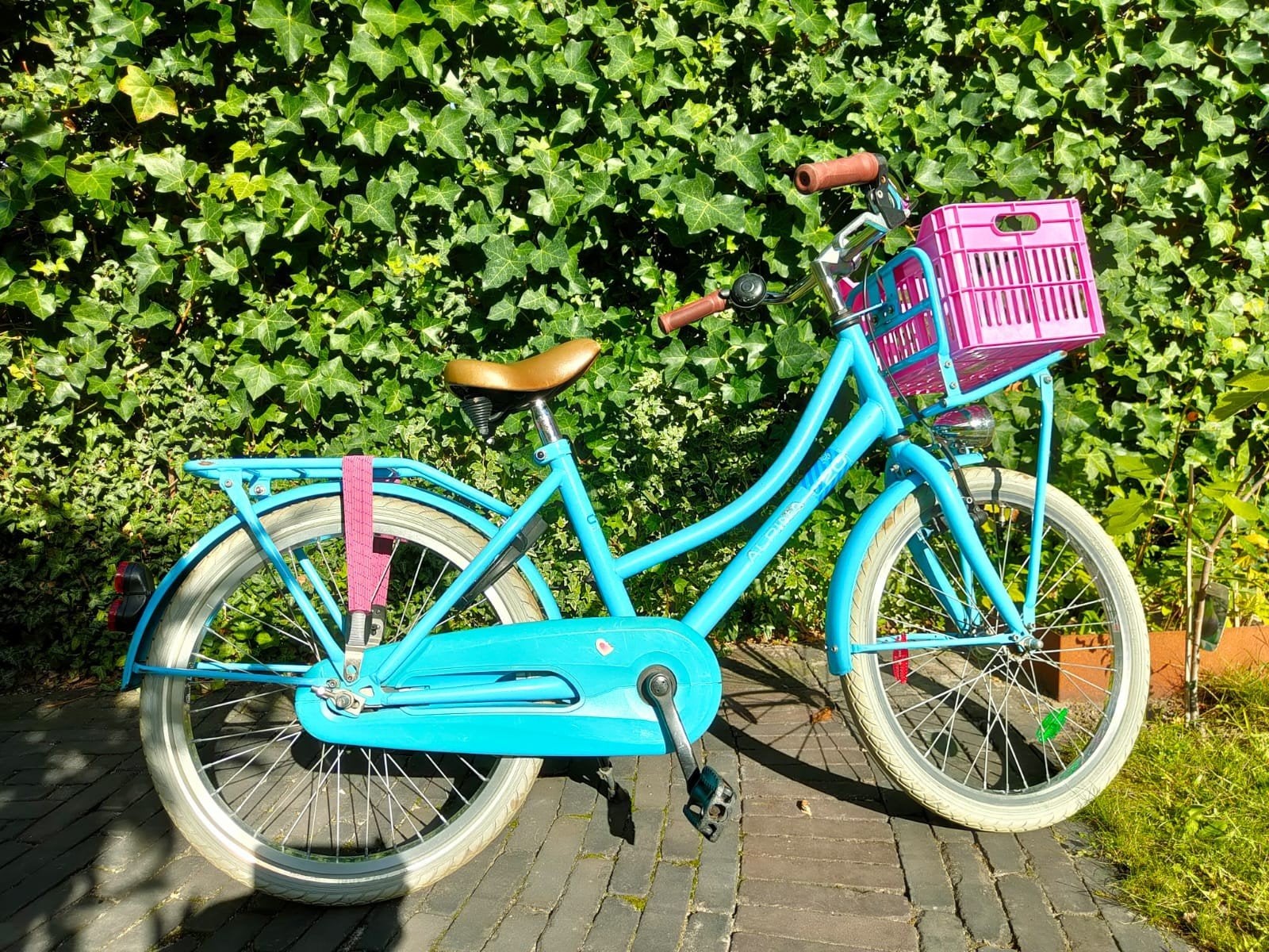 Alpina Cargo transport 20 inch meisjesfiets/urbanproof krat, Fietsen en Brommers, Fietsen | Meisjes, Ophalen, Terugtraprem, Gebruikt