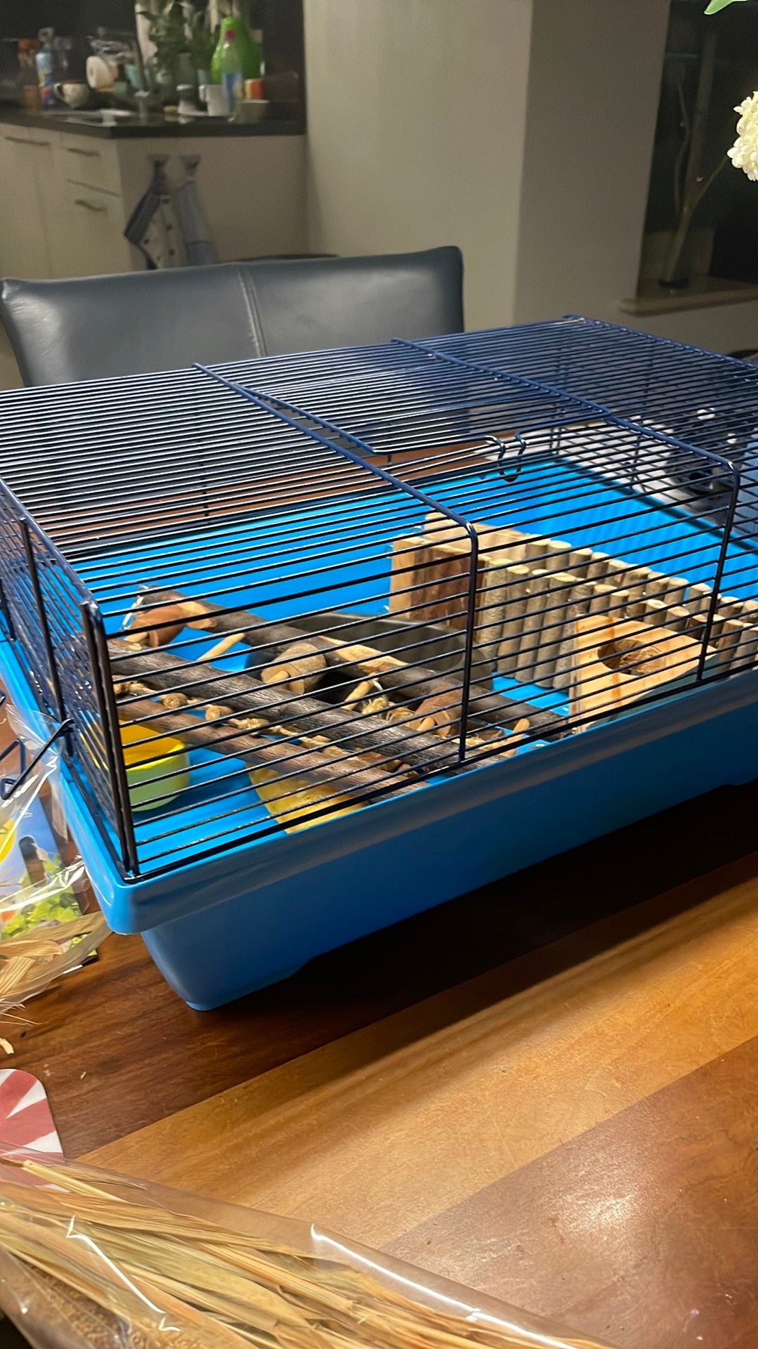 Toebehoren en kleine verhuis kooi, Gebruikt, Minder dan 75 cm, Reiskooi of Transportbox, Hamster