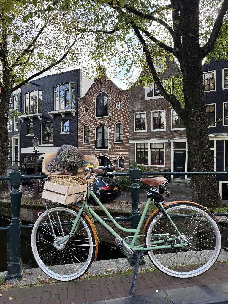 Roetz fiets original dames (NIEUW), Ophalen, Nieuw, Overige merken, (Extra) lage instap