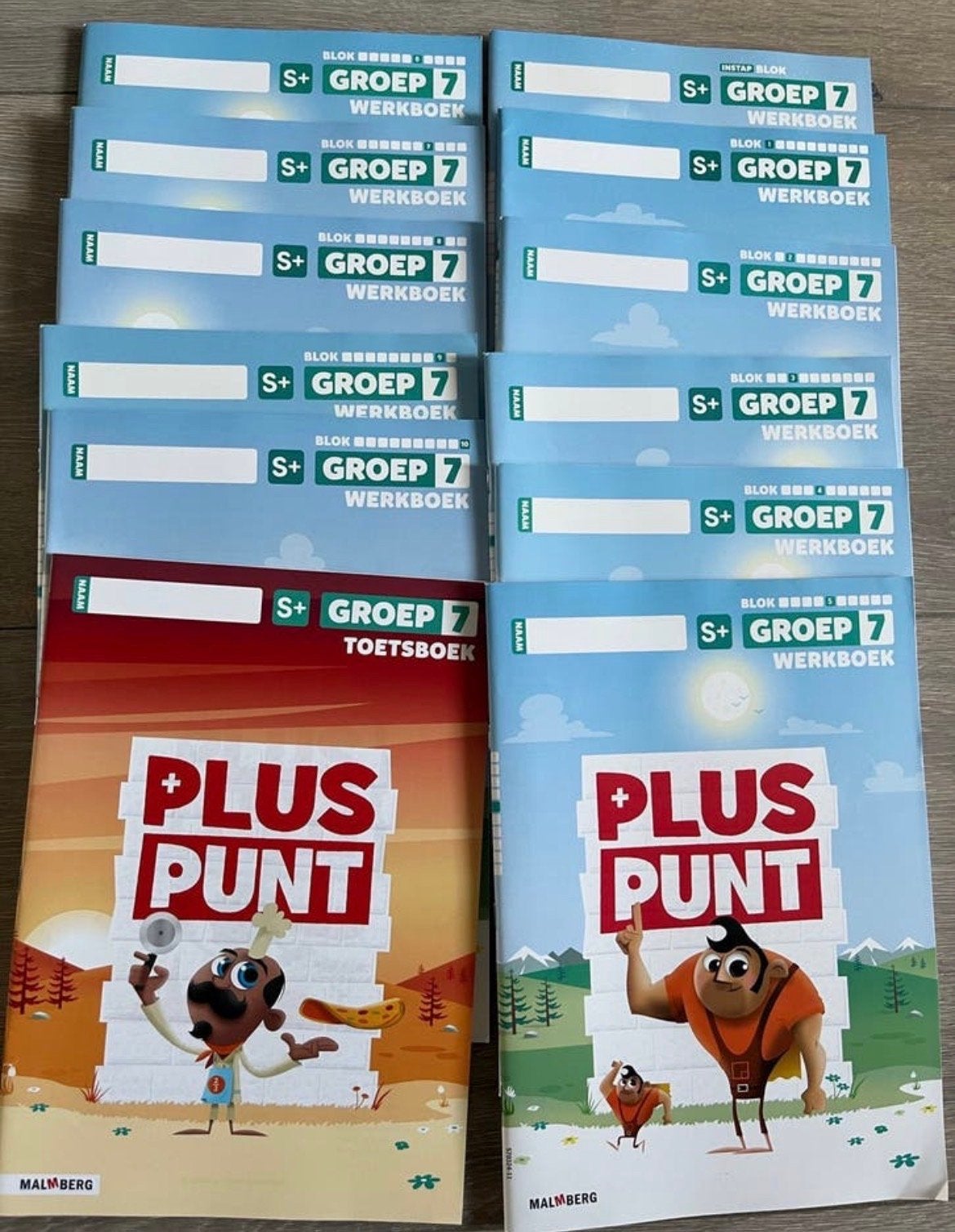 Pluspunt Rekenen Groep 7 Werkboeken en Toetsboek, Ophalen of Verzenden, Zo goed als nieuw, Overige niveaus, Overige vakken