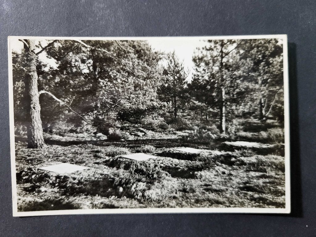 ansicht LOENEN oorlogsgraven begraafplaats oorlog, Verzamelen, Ansichtkaarten | Nederland, Ophalen of Verzenden, Voor 1920, Gelderland