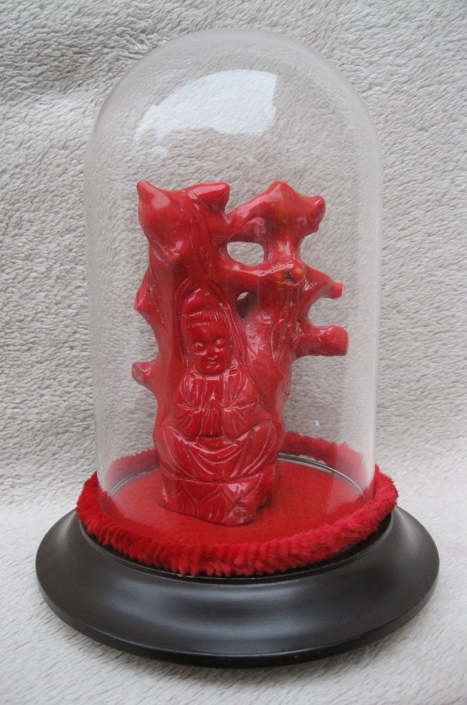Zeldzame eyecatcher - antiquiteit bloedkoraal rariteit, Antiek en Kunst, Ophalen