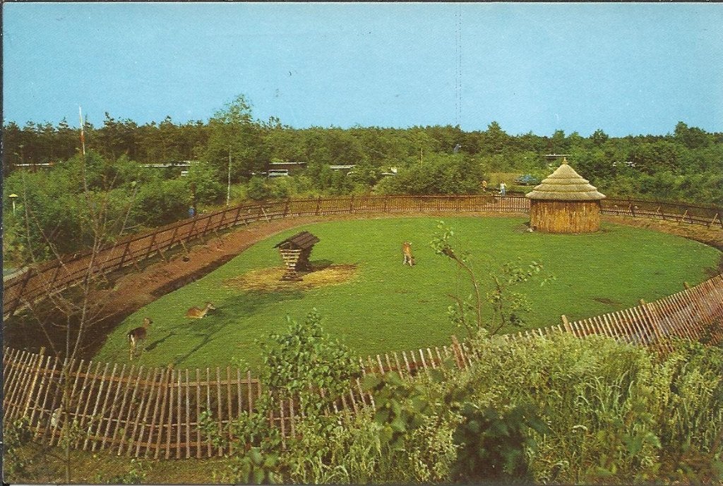 America   205, Verzamelen, Ophalen of Verzenden, Voor 1920, Limburg