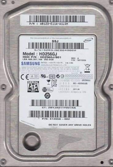 Samsung Spinpoint F4 HD256GJ 250GB HDD 3.5" SATA, Intern, Gebruikt, Ophalen of Verzenden, Samsung