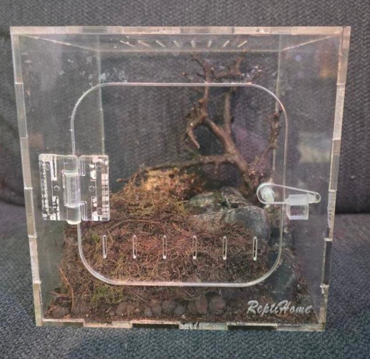 ReptHome terrarium 15x15x15, Dieren en Toebehoren, Ophalen, Zo goed als nieuw, Terrarium of Paludarium