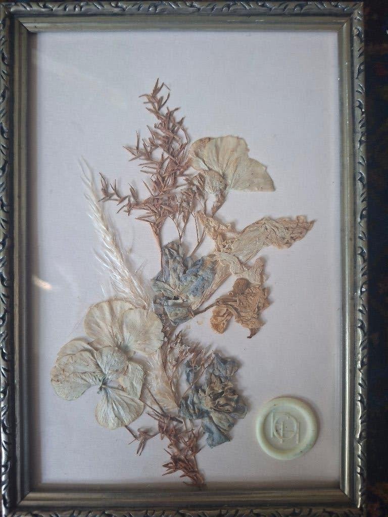 Droogbloemen / boeket in lijstje, Ophalen, Zo goed als nieuw