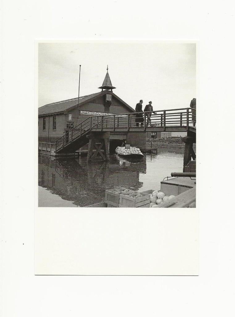 Groentenveiling - Foto Wim Zilver Rupe, Verzamelen, Ophalen, 1960 tot 1980, Ongelopen, Noord-Holland