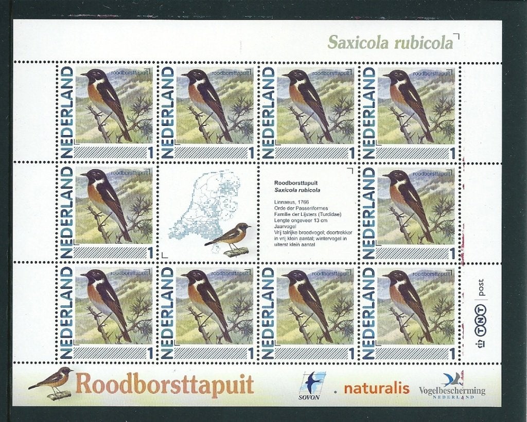 Vel persoonlijke zegels, vogels roodborsttapuit postfris, Ophalen of Verzenden, Postfris