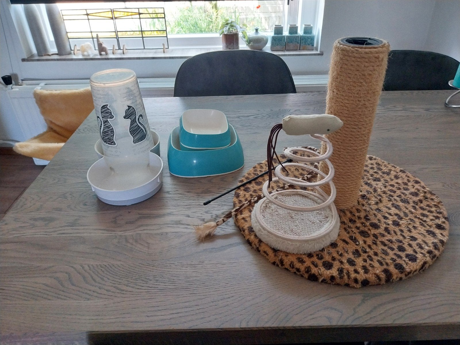 Gratis kitten spulletjes, mandje en voerbakjes af te halen, Ophalen