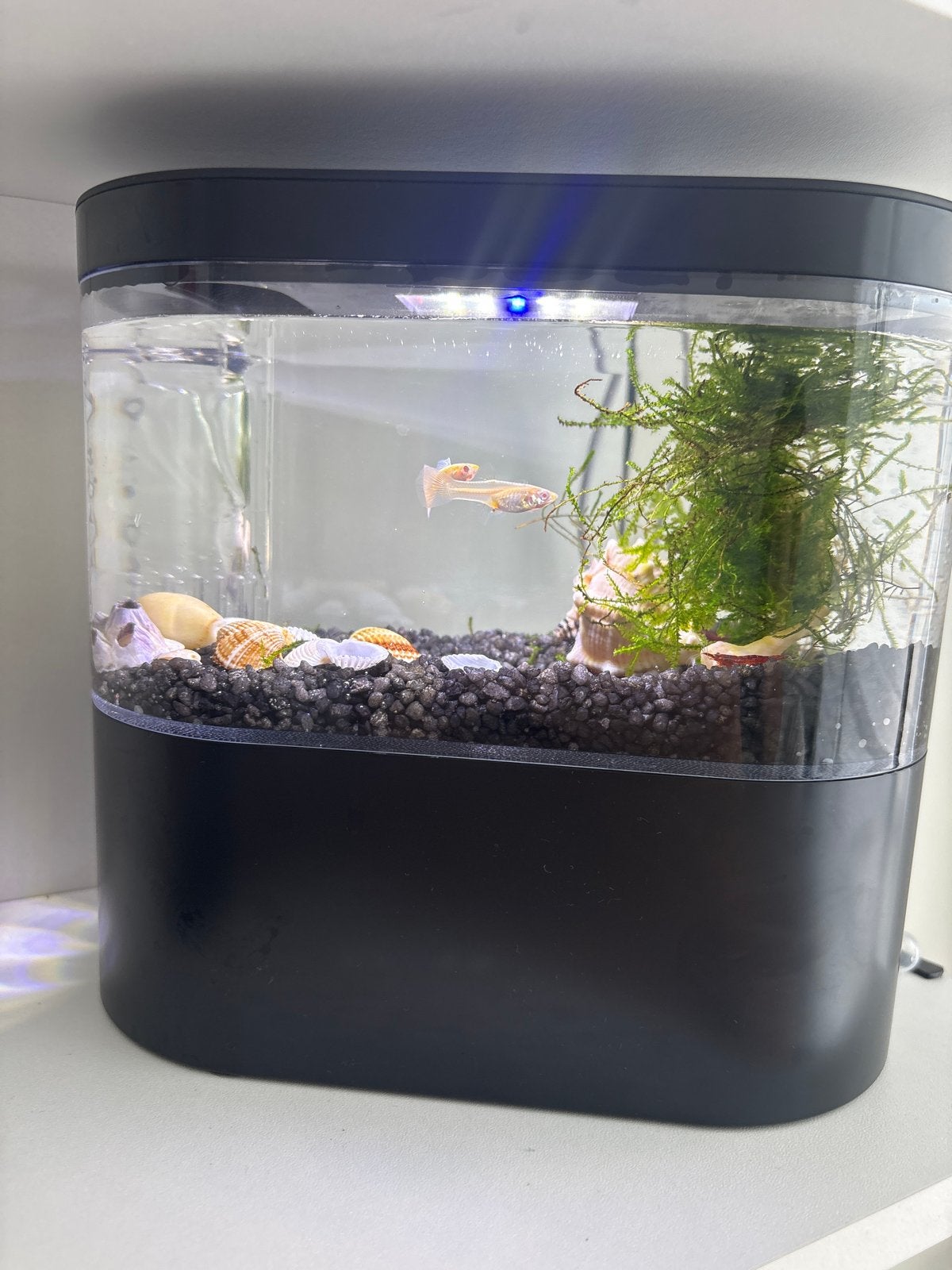 Mini nano aquarium met alles wat je nodig hebt-Nieuw, Dieren en Toebehoren, Vissen | Aquaria en Toebehoren, Verzenden, Nieuw, Overige merken