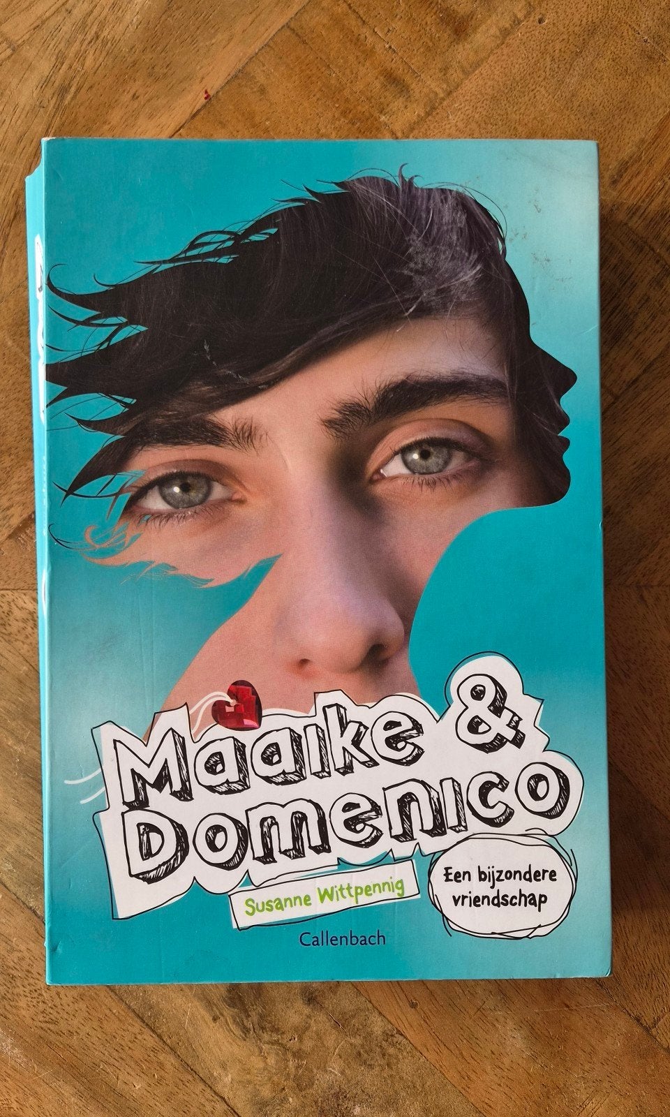 Maaike & Domenico - Een bijzondere vriendschap, Ophalen of Verzenden, Zo goed als nieuw, Susanne Wittpennig, Fictie