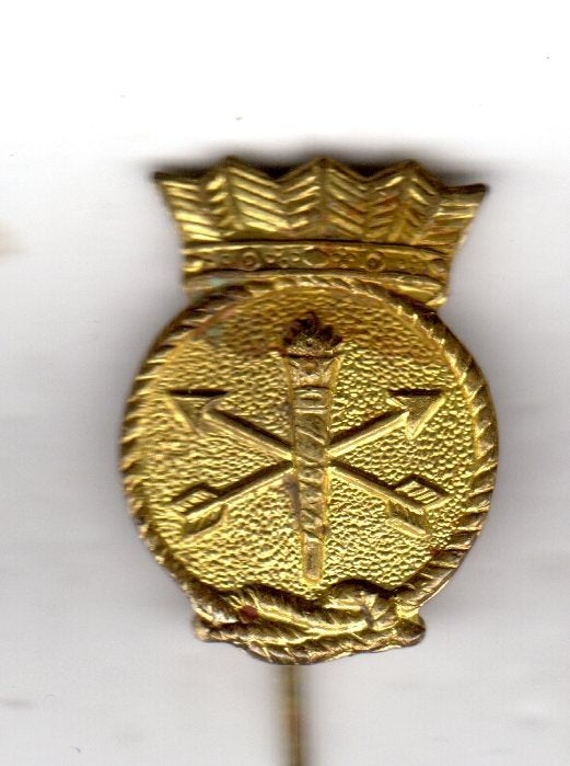 Speldje KONINKLIJKE MARINE MACHINIST GOUDKLEURIG (A9), Verzamelen, Ophalen of Verzenden, Gebruikt, Overige onderwerpen