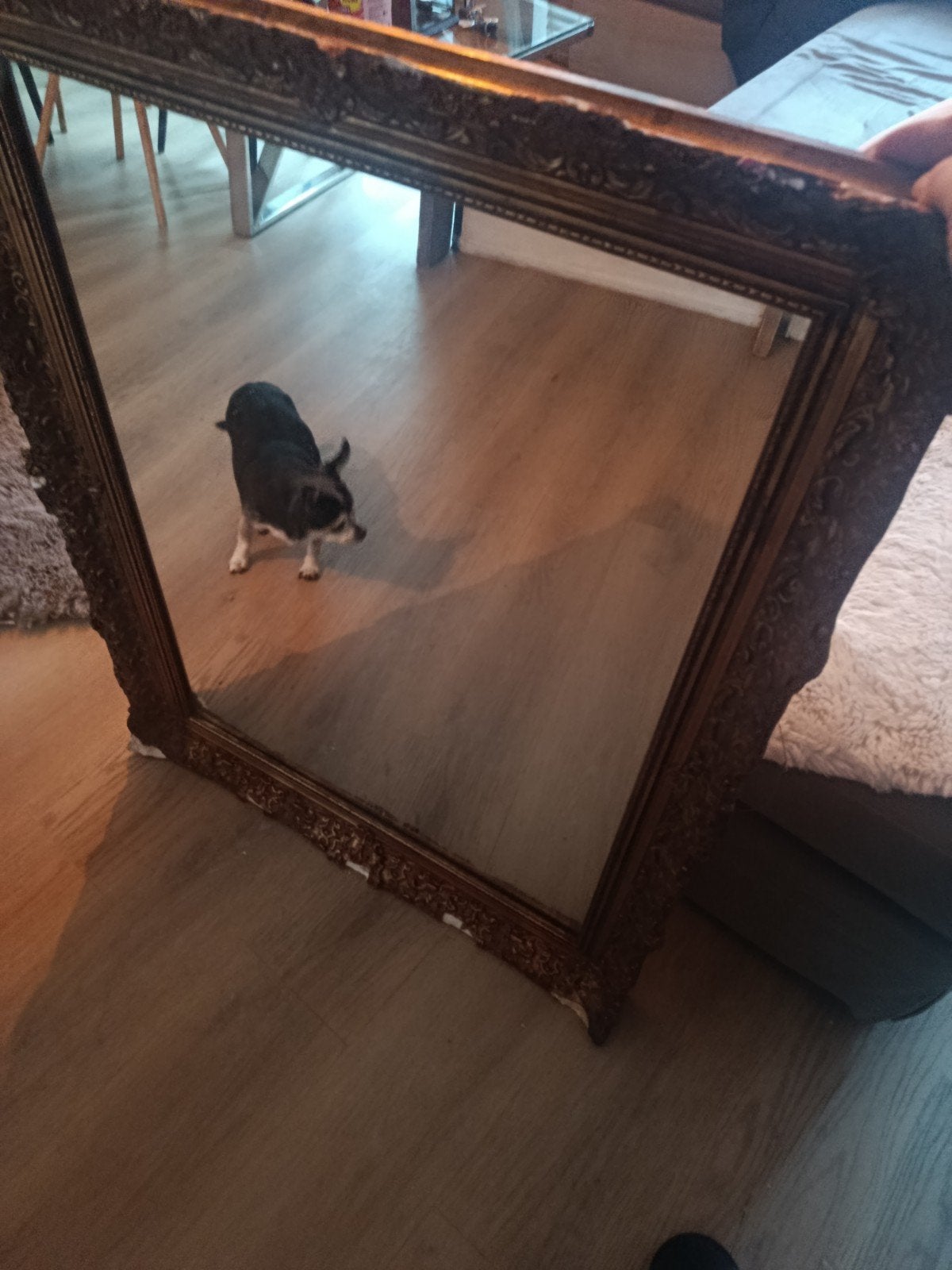 Barok lijst, Ophalen of Verzenden, Rechthoekig, Minder dan 50 cm