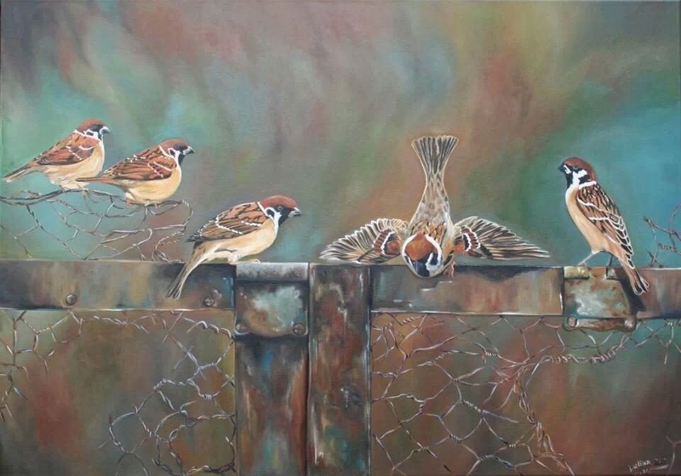 Schilderrij vogels mussen, Ophalen of Verzenden