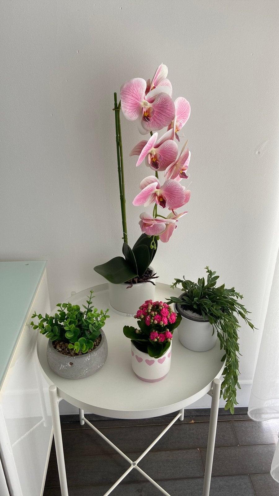 Plantjes en Salontafel, Ophalen, Gebruikt