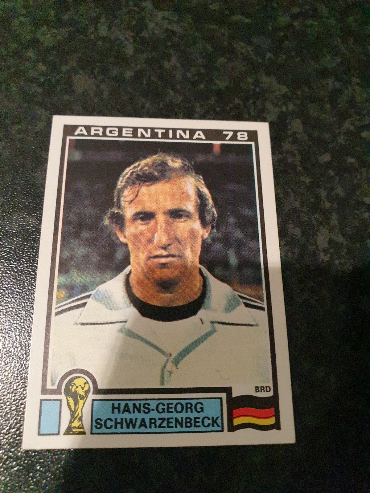 Panini Argentina 78 - Nmr 138, Verzenden, Zo goed als nieuw, Plaatje