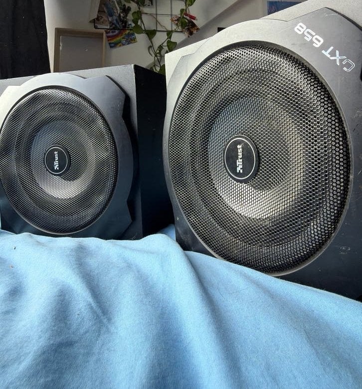 Trust GXT 658 Double Subwoofer set, Audio, Tv en Foto, Luidsprekers, Gebruikt, Subwoofer, Ophalen