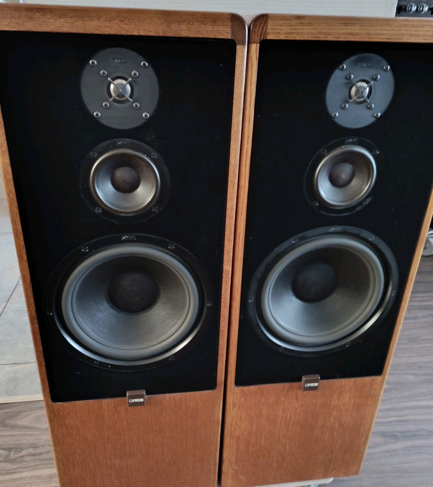 Canton CT 90 speakers - Hoge kwaliteit geluid, Gebruikt, 60 tot 120 watt, Front, Rear of Stereo speakers, Ophalen