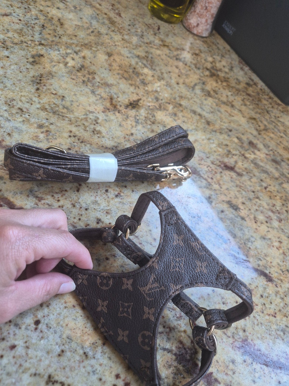 Hondentuigje + riem, Dieren en Toebehoren, Ophalen of Verzenden, Nieuw, Hondenriem-accessoire