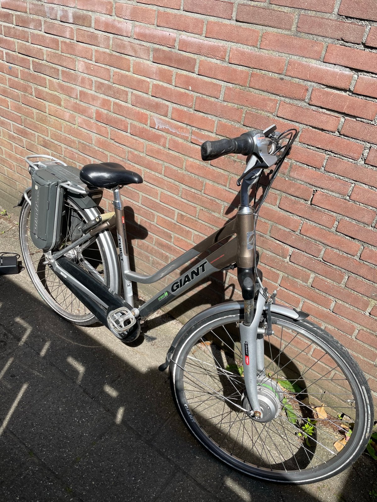 Giant Twistelektrische fiets - Goed onderhouden, Gebruikt, 51 tot 55 cm, 30 tot 50 km per accu, Giant