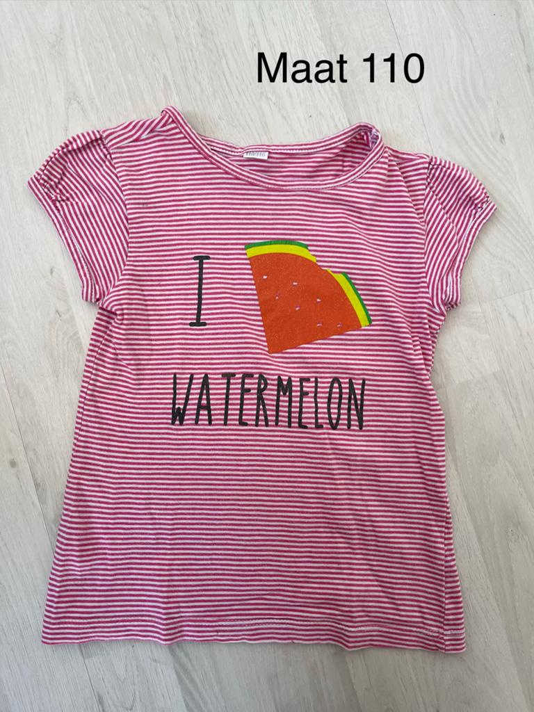 Shirtje maat 110, Kinderen en Baby's, Kinderkleding | Maat 110, Ophalen of Verzenden, Zo goed als nieuw, Meisje, Shirt of Longsleeve