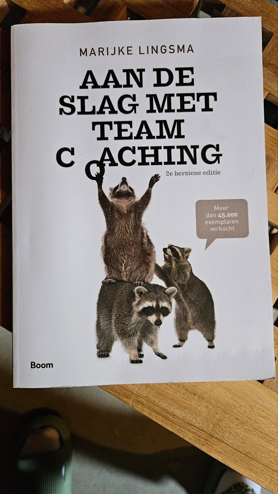 Boeken: De Vijf Kritieke Succesfactoren & Team, Boeken, Ophalen of Verzenden, Zo goed als nieuw, Ger van Doorn, Marijke Lingsma