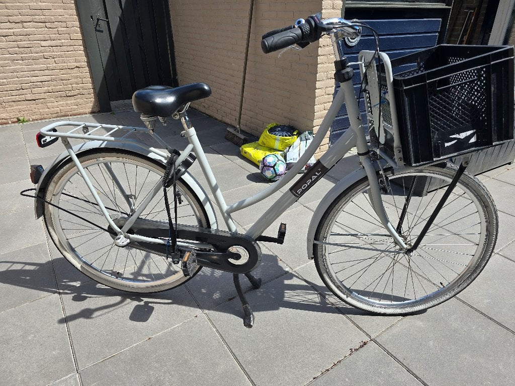 Grijze fiets met krat, Terugtraprem, Gebruikt, Versnellingen, 56 cm of meer