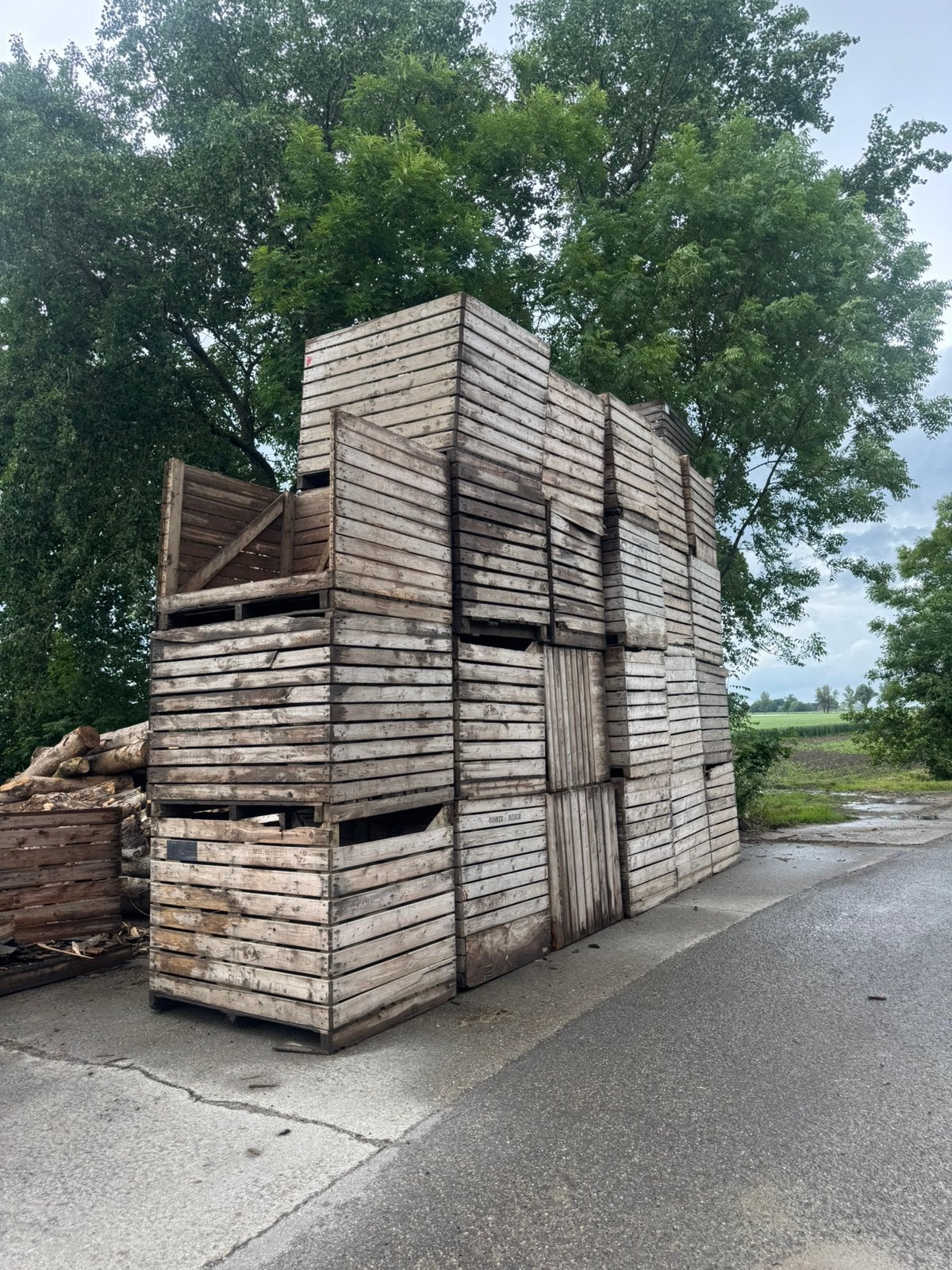 Brandhout aardappel kisten, Minder dan 3 m³, Ophalen of Verzenden, Overige houtsoorten, Takken