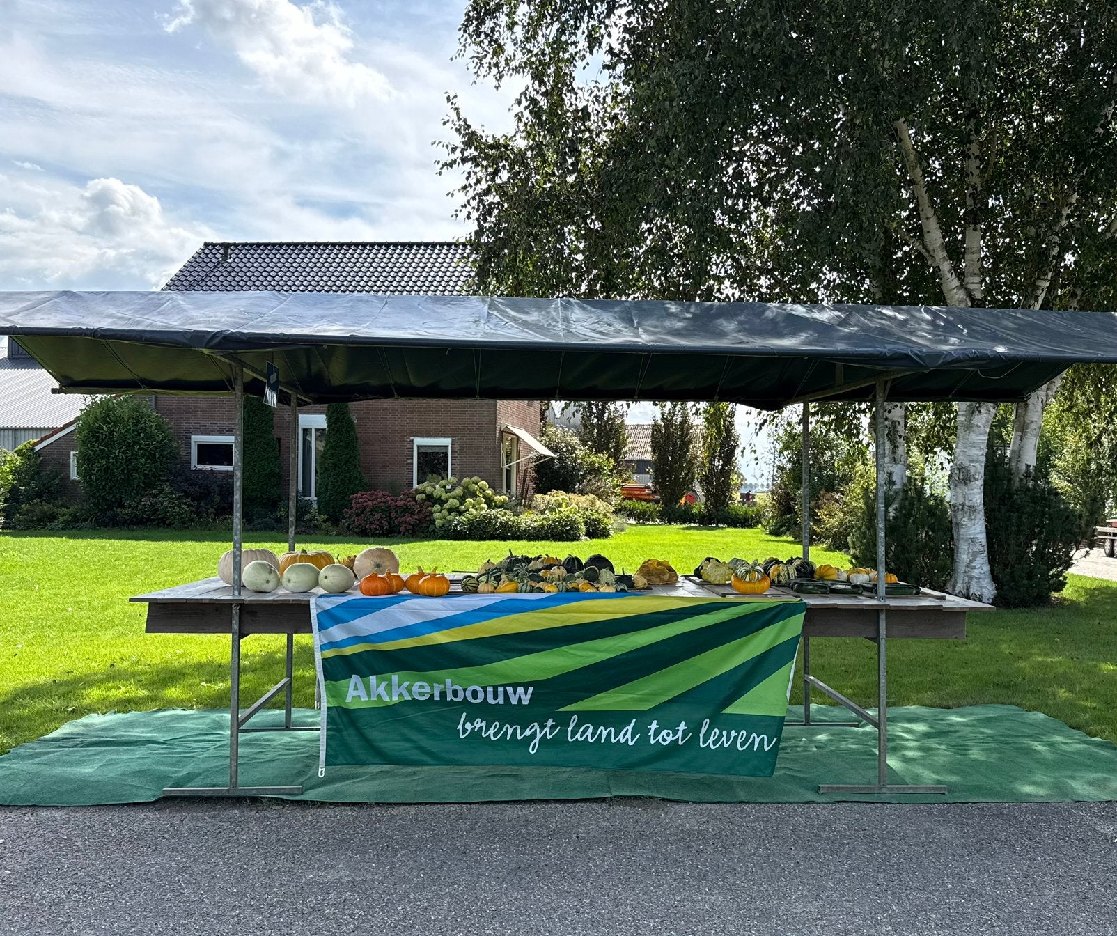 Pompoen en kalebassen kraam, Ophalen, Volle zon