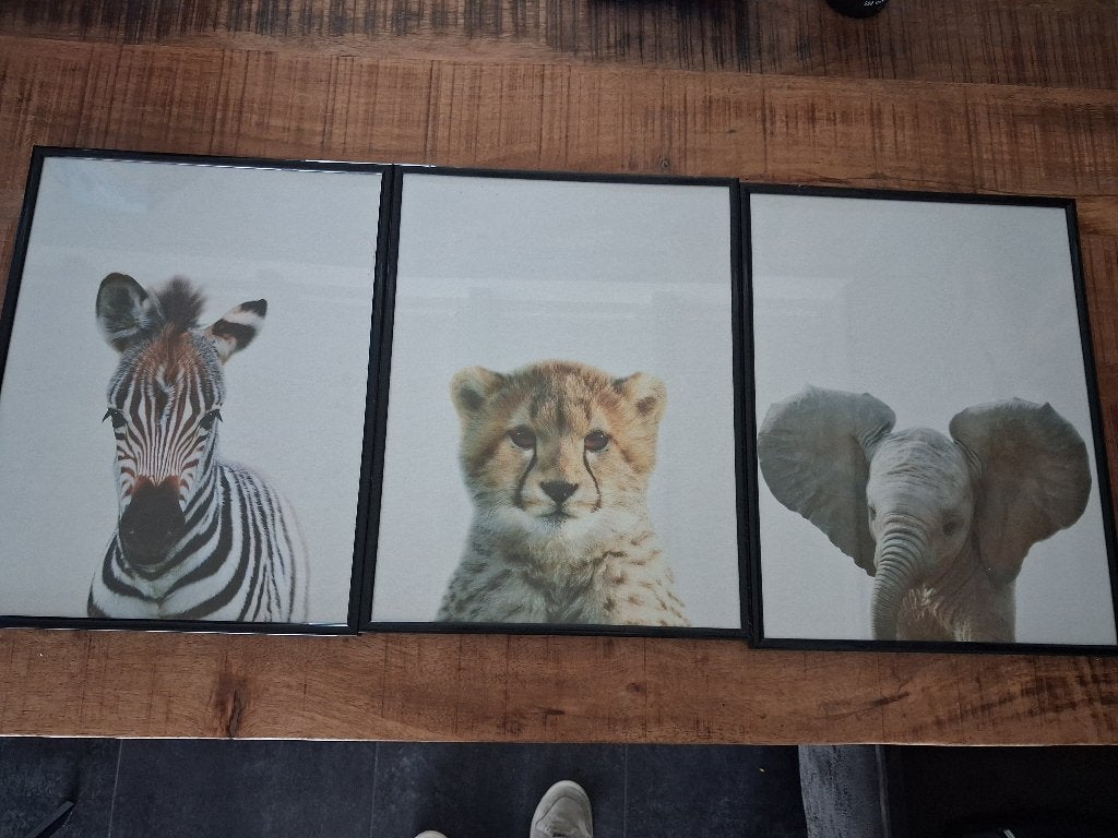 Dieren kinderkamer, Kinderen en Baby's, Overige merken, Ophalen of Verzenden, Zo goed als nieuw, Wanddecoratie