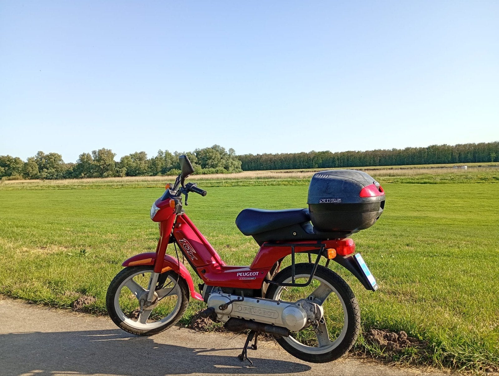 Peugeot Fox Bromfiets - Goede Staat, Ophalen, Gebruikt, Benzine, Peugeot