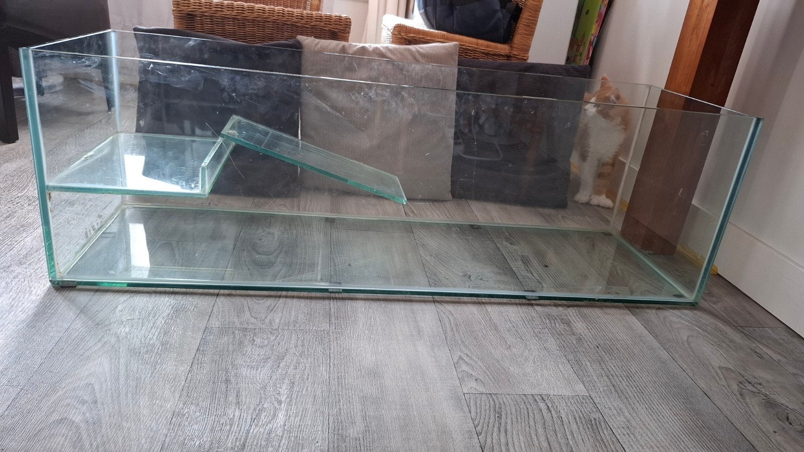 Grote Glazen (hamster) Bak, Dieren en Toebehoren, Ophalen, Minder dan 60 cm, 110 cm of meer, Gebruikt